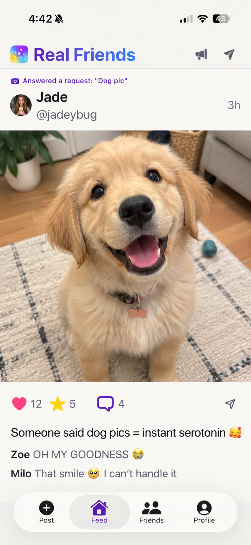 Real Friends feed with a photo post and friend activity